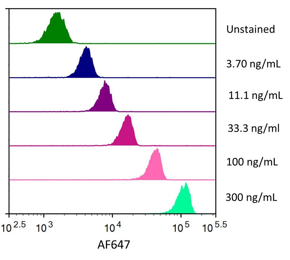 Streptavidin coated beads conjugated to biotinylated anti-human ErbB2/Her2 Monoclonal Antibody were stained with the indicated concentrations of Recombinant Human ErbB2/Her2 Fc Chimera His-tag Alexa Fluor® 647.
